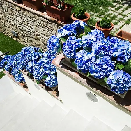 Casamia Bed & Breakfast