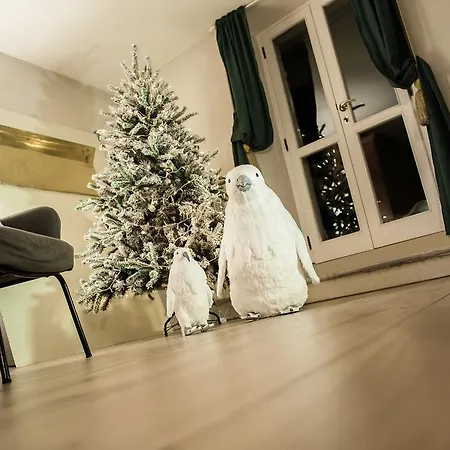 Bed & Breakfast Casamia Arezzo