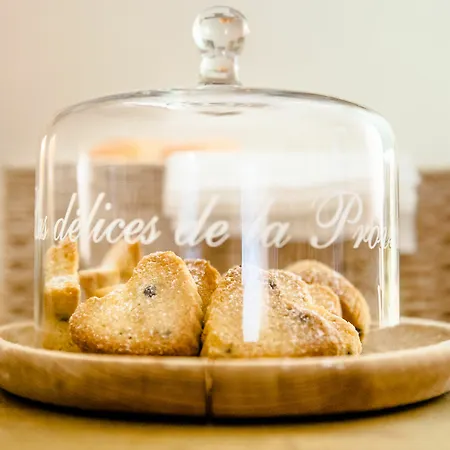 Casamia Bed & Breakfast